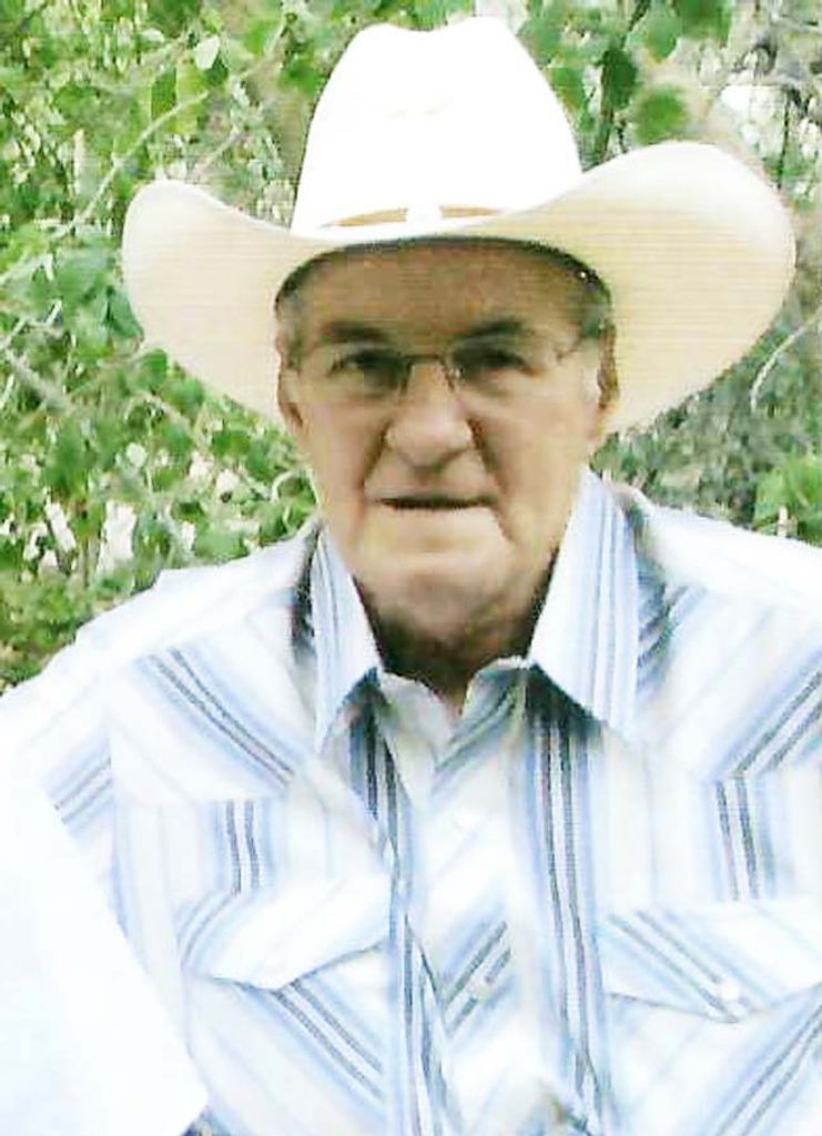 David C. English Profile Photo