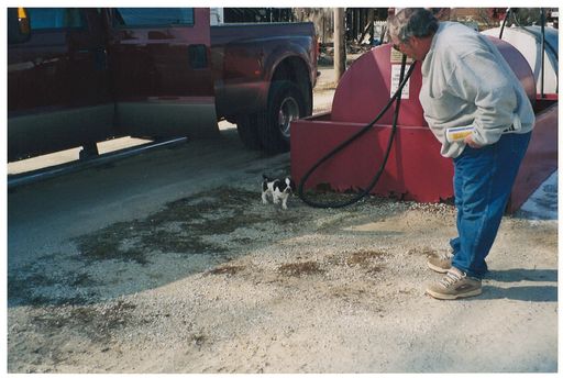 Gary L. Hall photo gallery thumbnail 156 of 354
