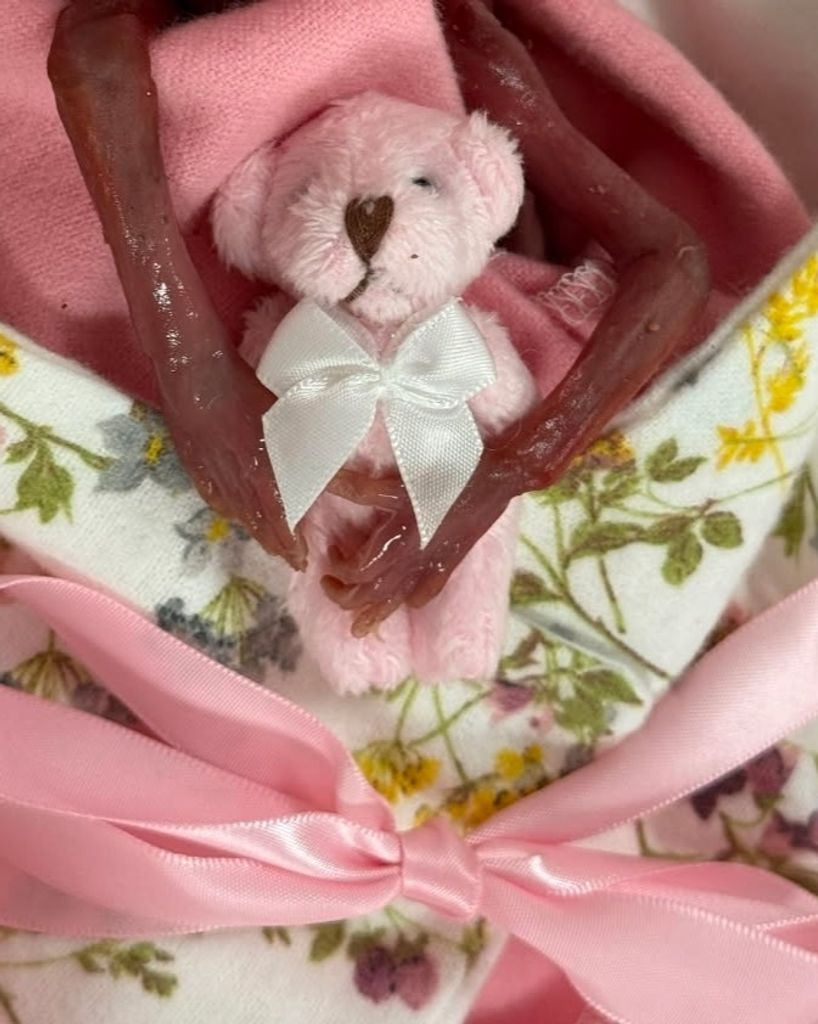 Chandler Rose Chapman Profile Photo
