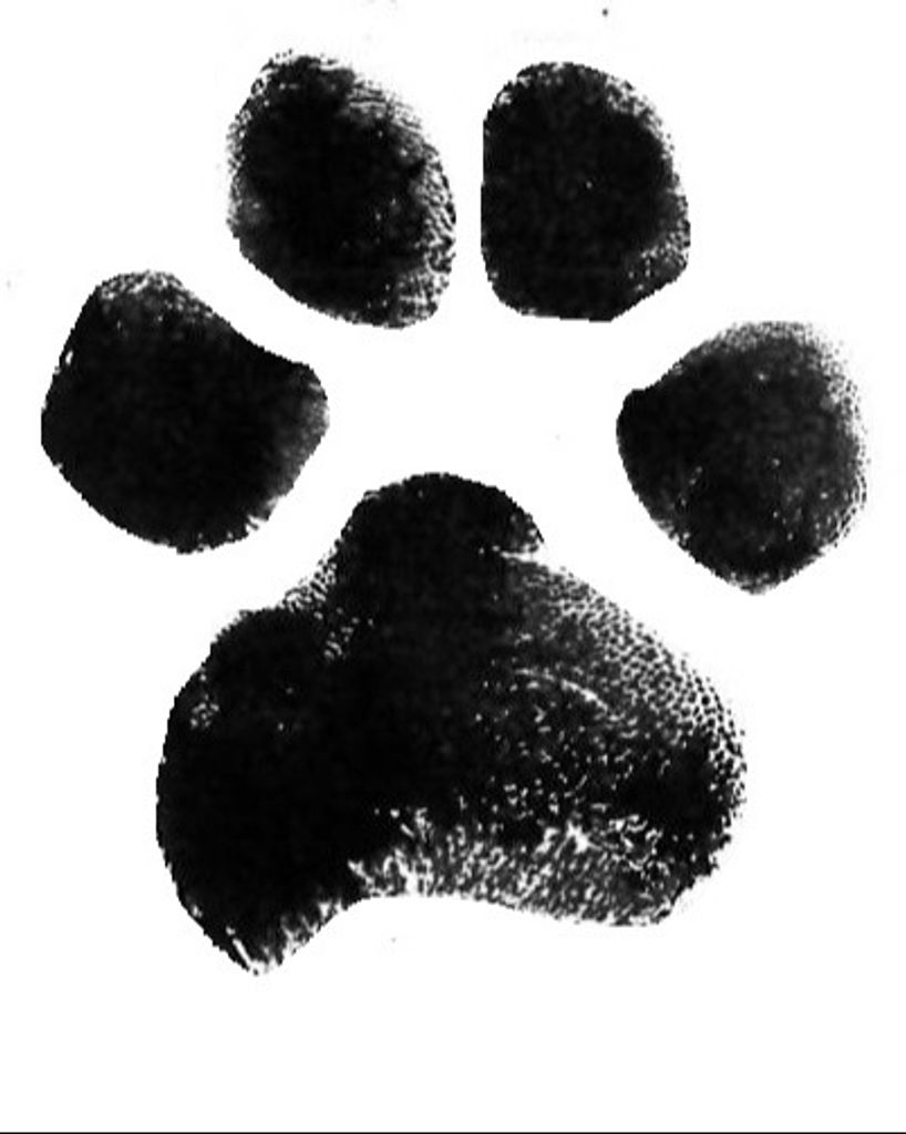 Roscoe Kuykendall Profile Photo