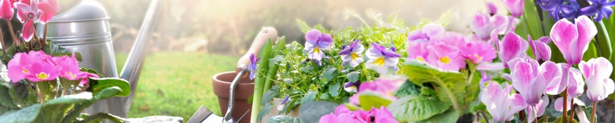 Cover photo for Gloria Helgeson's Obituary