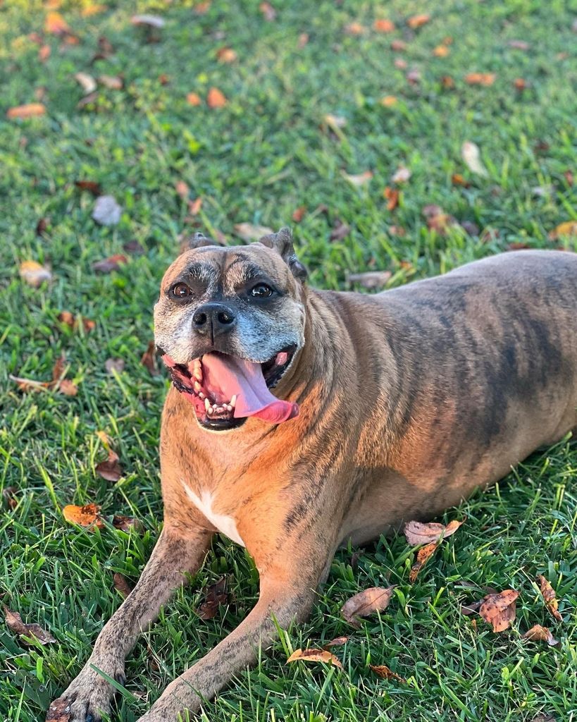 Bane Lungsford Profile Photo