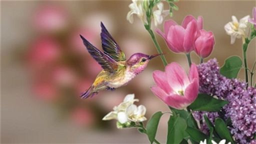 Shirley J. Garst Profile Photo