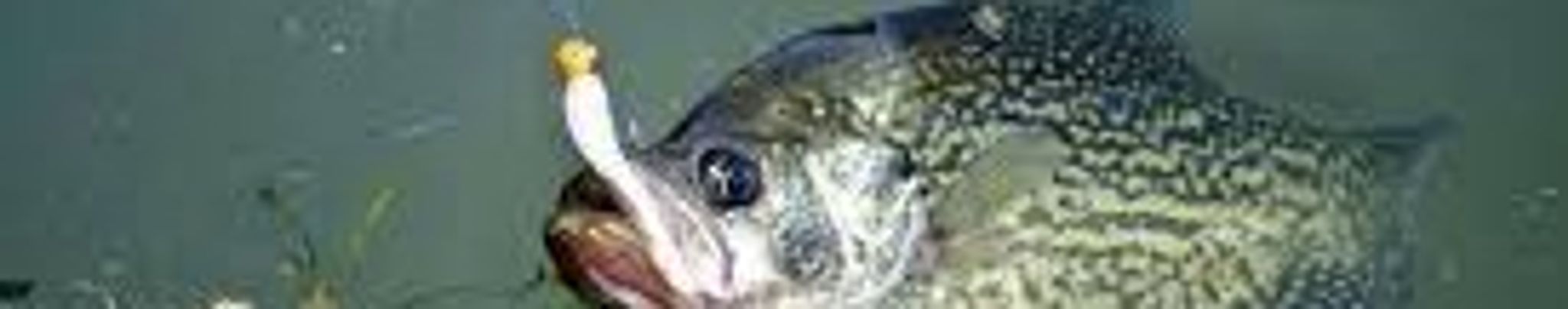 Cover photo for Malcolm Jack Johnson's Obituary