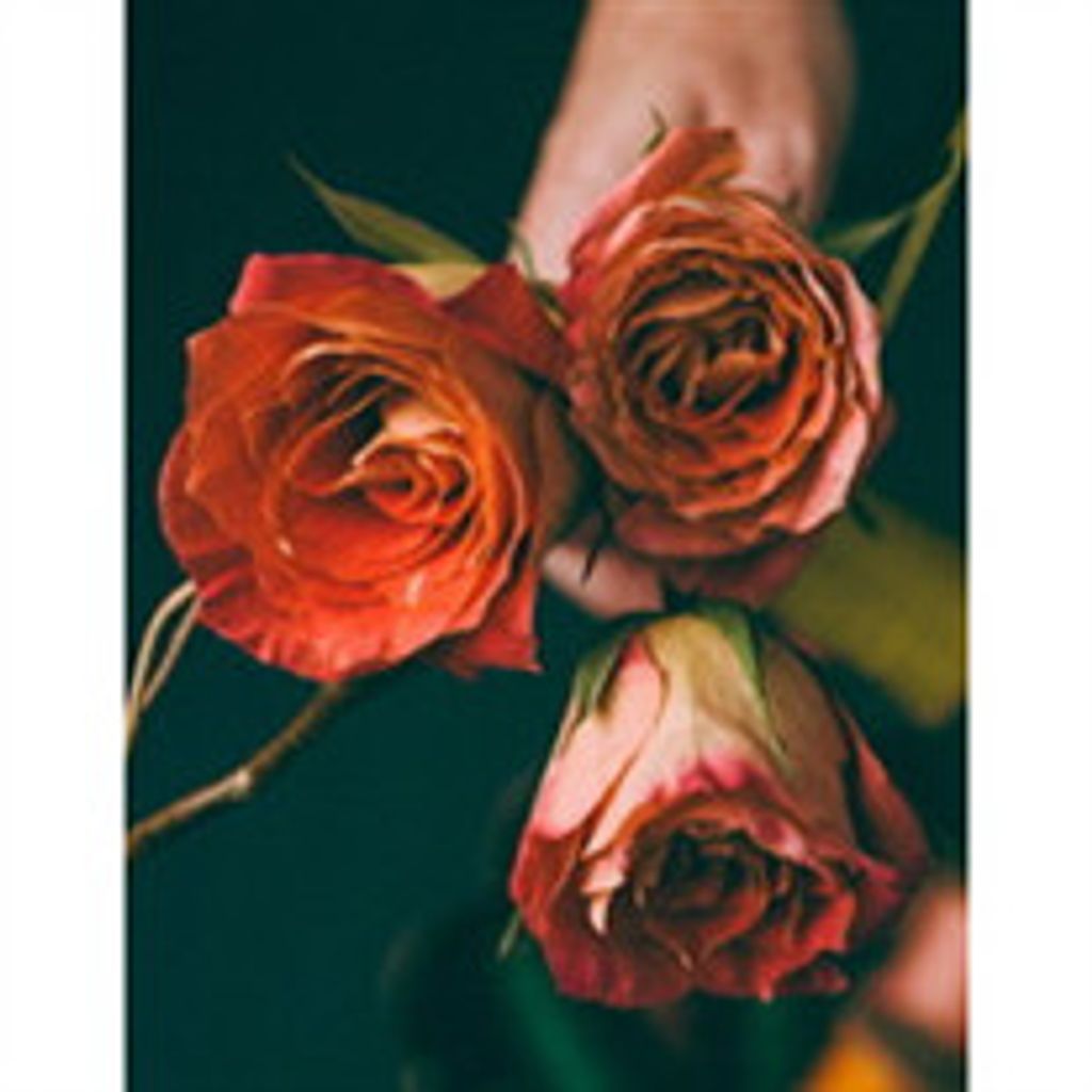 Shirley F. Furnier