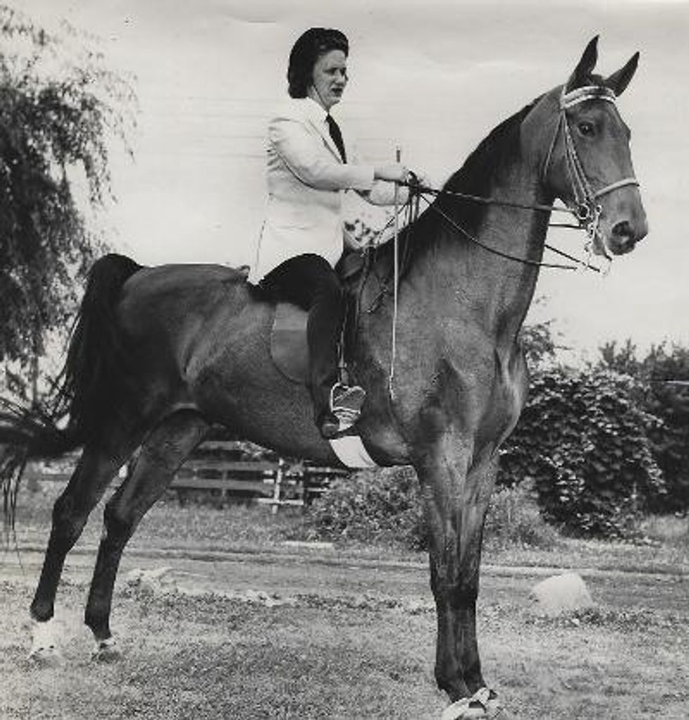 Dorothy M. Schepp Profile Photo