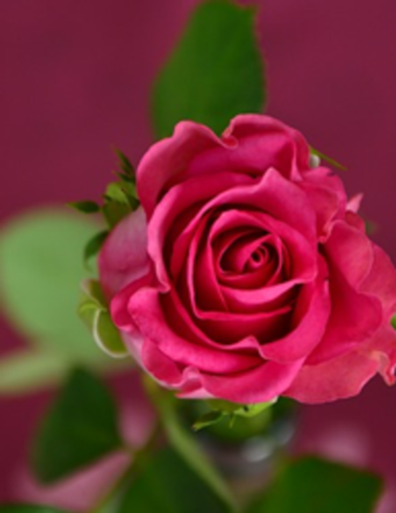 Loretta R Edwards Profile Photo