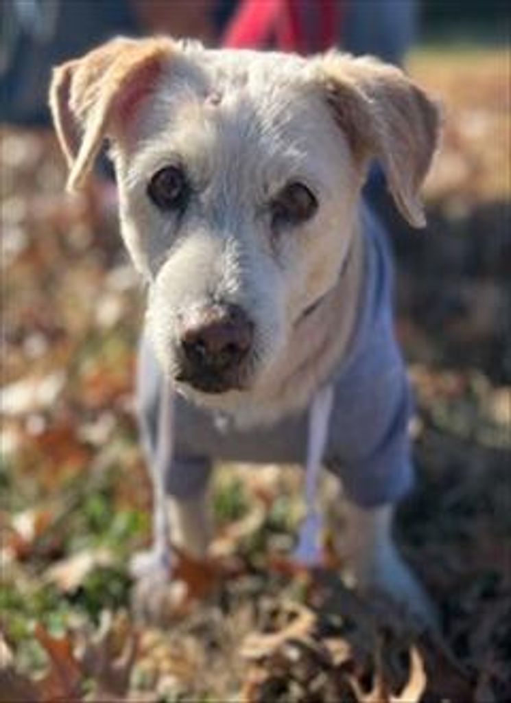 Buddy Aloysius Gransberry