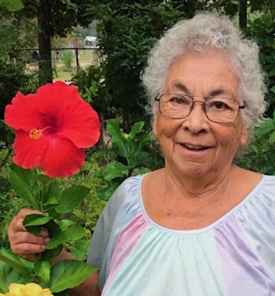 Juanita Hinojosa Profile Photo