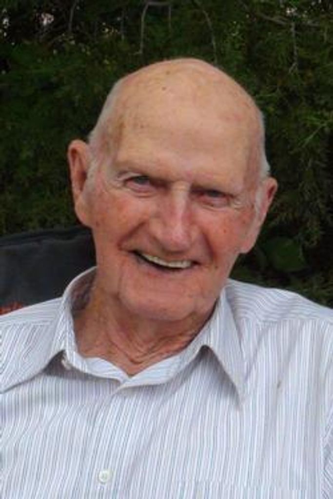 Albert Vliem