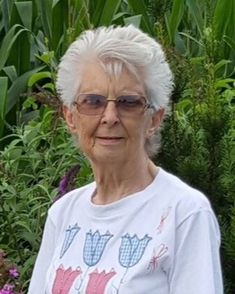 Shirley Ann (Dry) Kramer