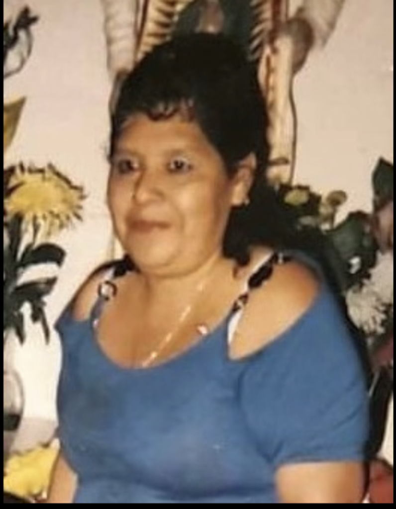 Elvira Garcia Sanchez