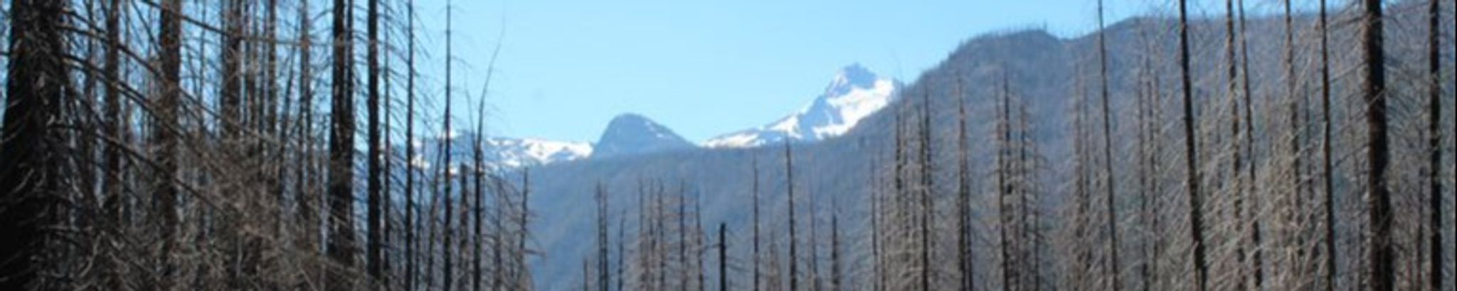 Cover photo for Herman G. Sisneros's Obituary