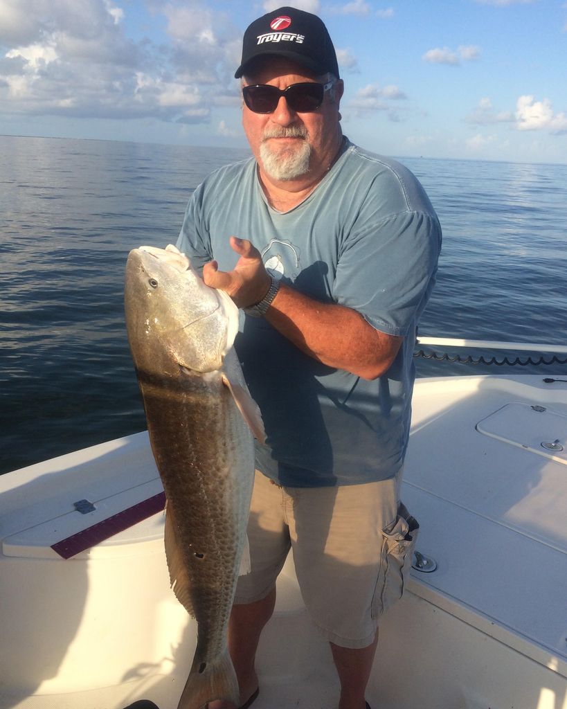 Dale Orr Profile Photo