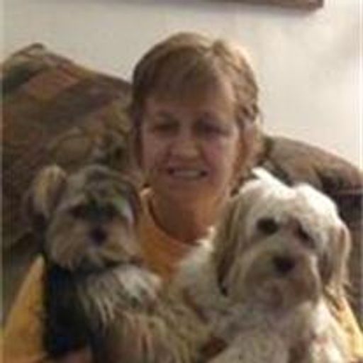 Lori Ann Barrett (Morse) Profile Photo