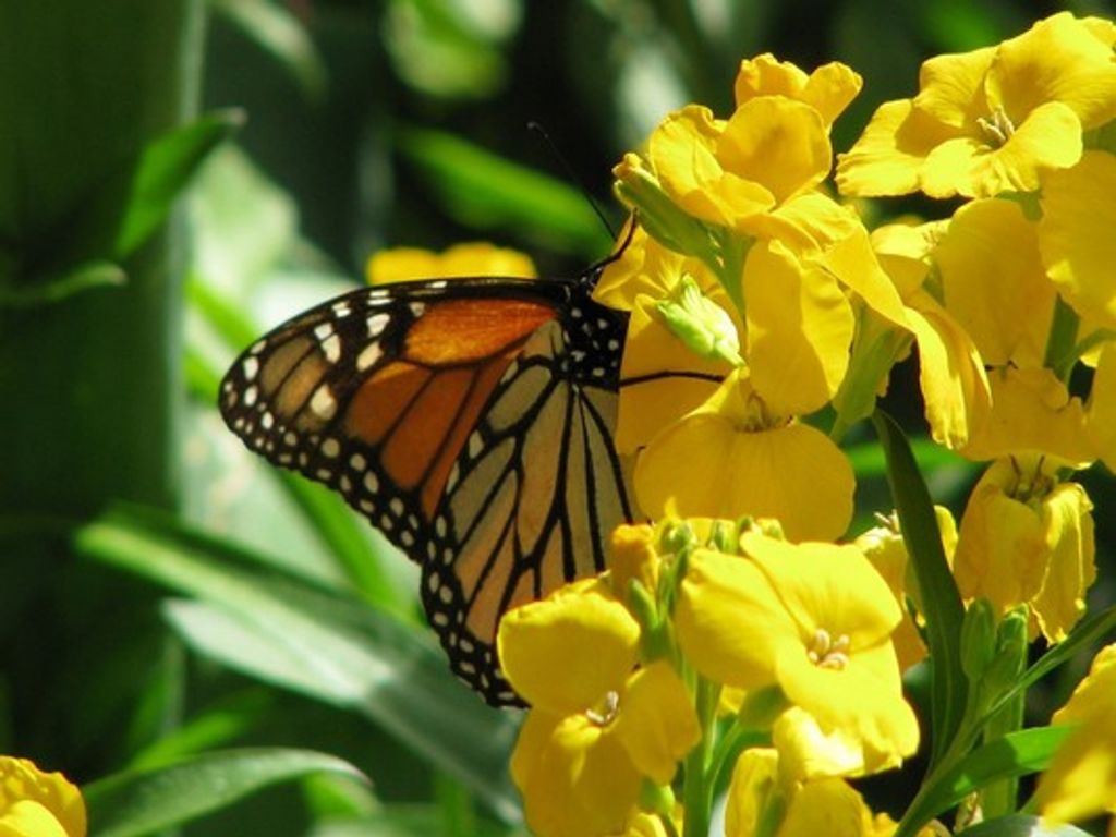 Beverly Nan Aldridge Profile Photo