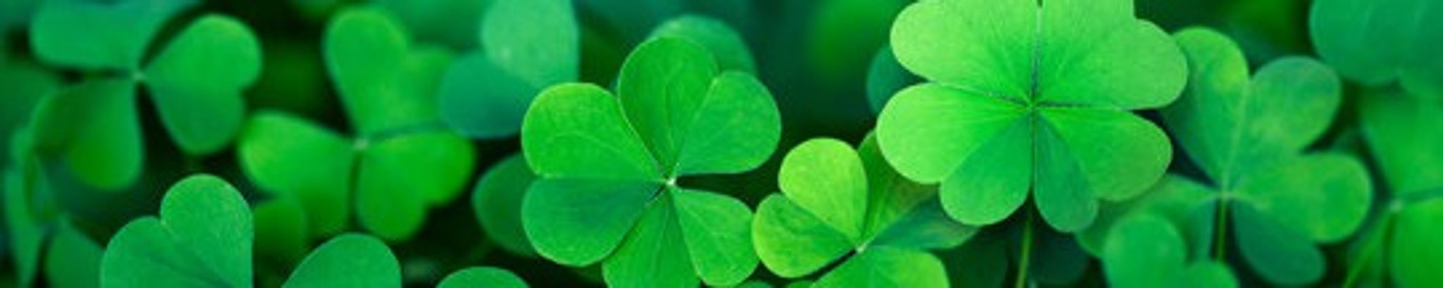 Cover for Daniel Byrne Flynn, III's Obituary