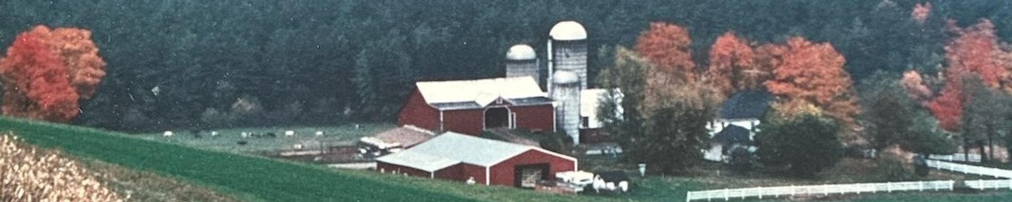 Cover for Carolyn L. Post's Obituary