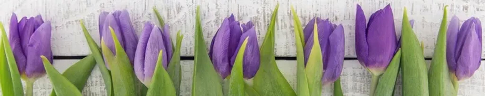 Cover photo for Addie Revere Breland's Obituary