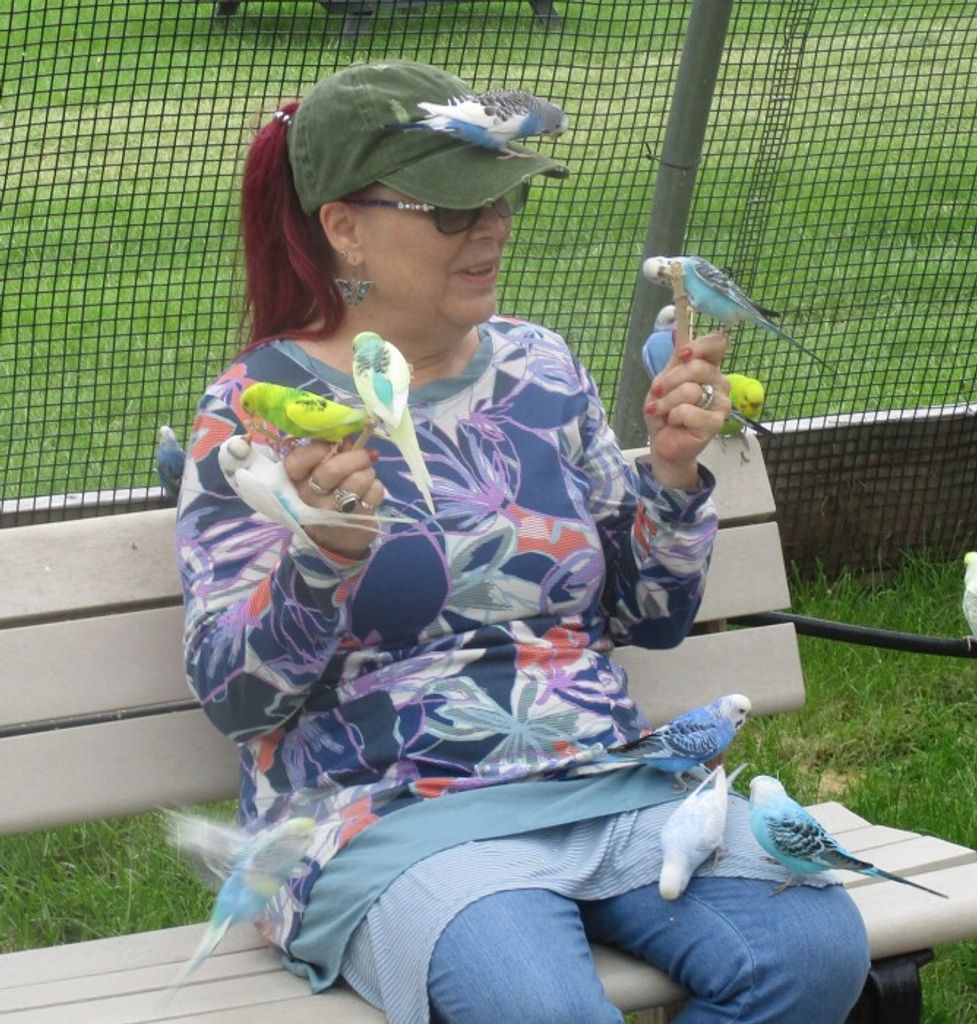 Carol Anne Sutliff