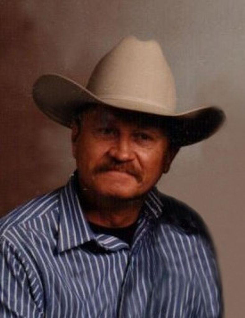 Wayne Taylor