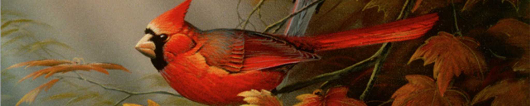 Cover photo for Violet V. Monroe's Obituary
