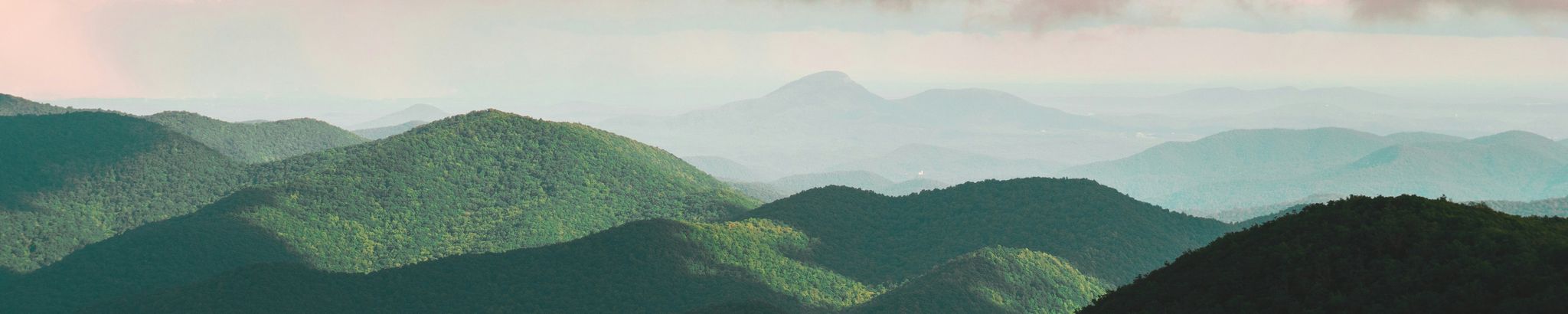 Cover for Lloyd Thomas Fellows's Obituary