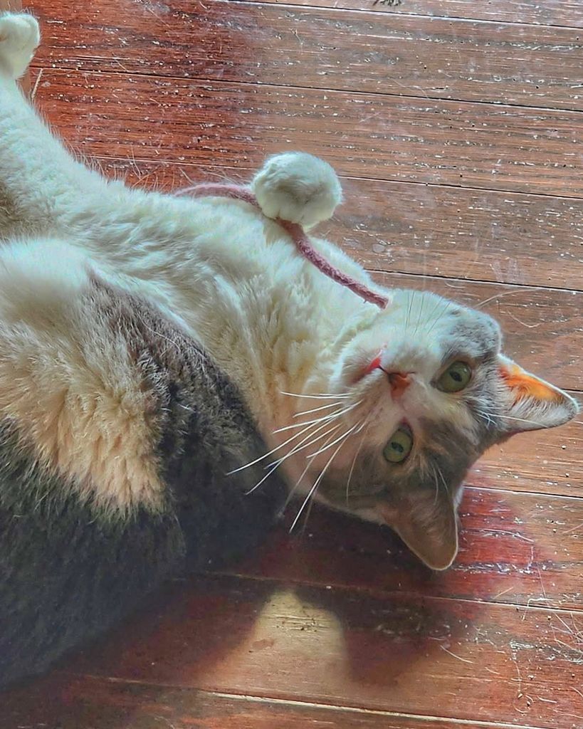 Lucky Reeves Profile Photo