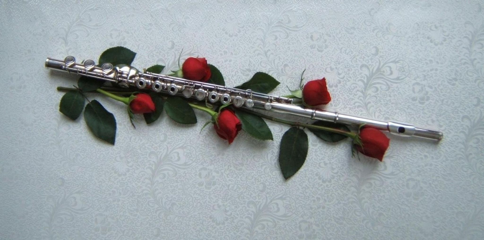 Cover for Jennifer Judith Taht's Obituary