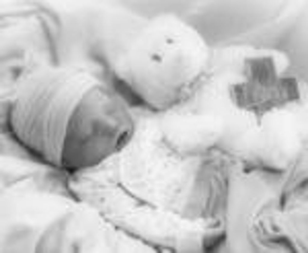 Faith Karoline Zwicke