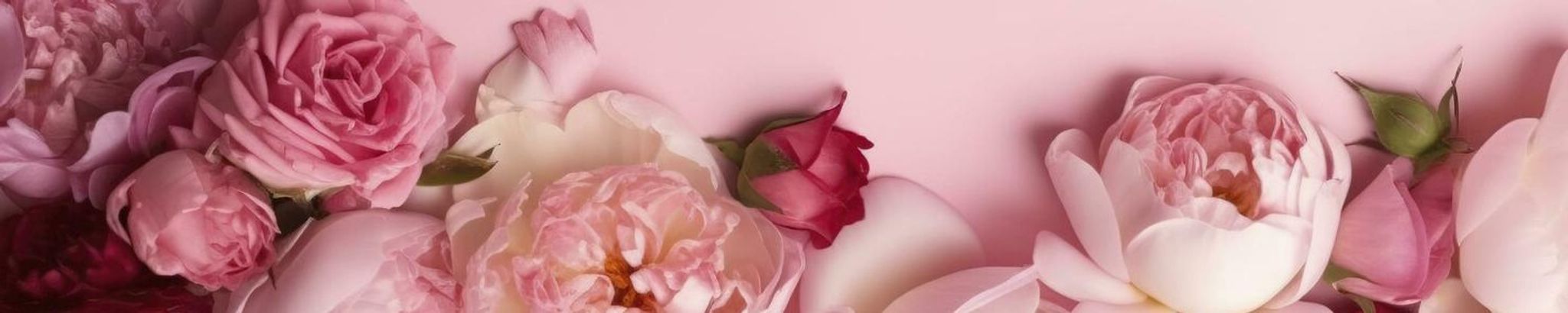 Cover photo for Maria (Angie) Gonzalez's Obituary