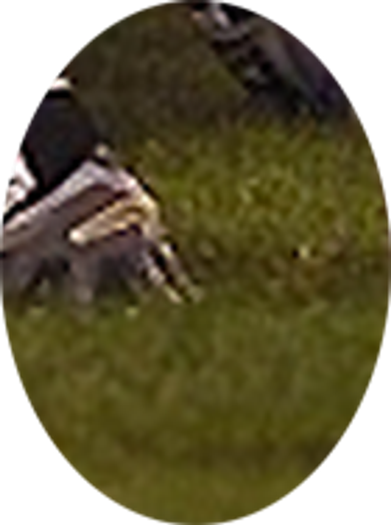 Rocky Hill Profile Photo