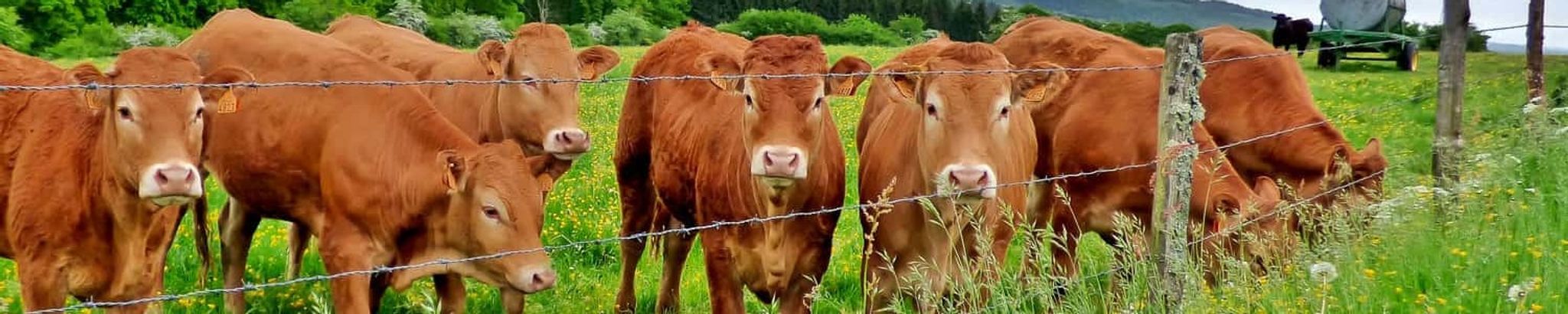 Cover for Robert "Bob" Clonch's Obituary