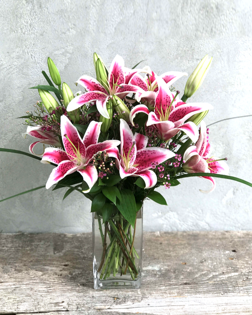 Sharon Kay Gandy Profile Photo