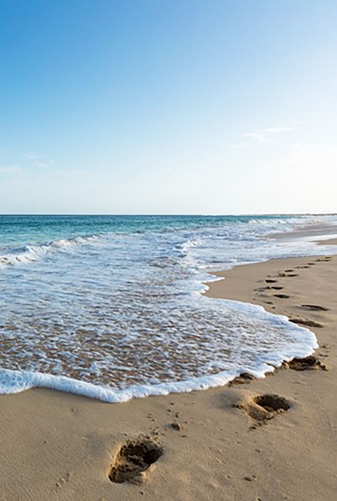 Kate Chung Profile Photo