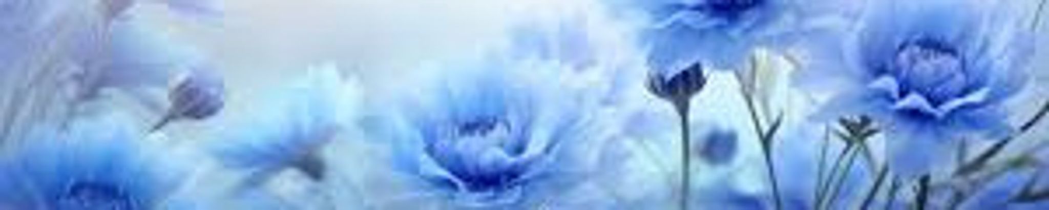 Cover photo for Connie Stock's Obituary