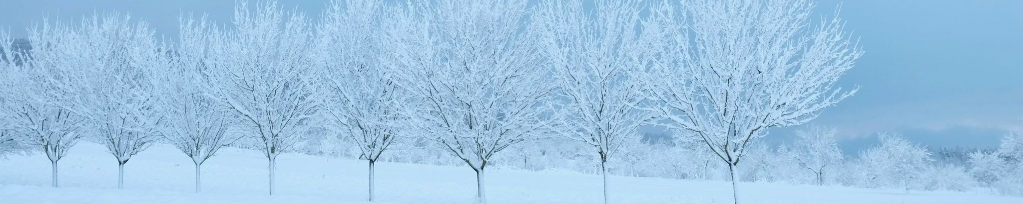 Cover for Joseph Santos's Obituary