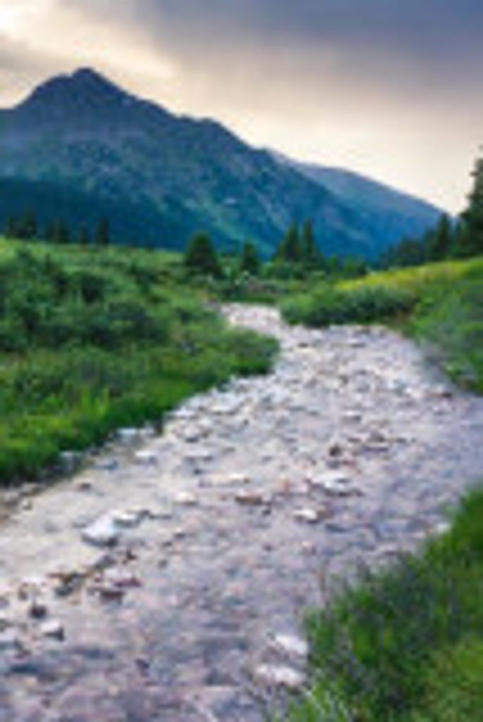 Harley  Leonard Scott  Sr. Profile Photo