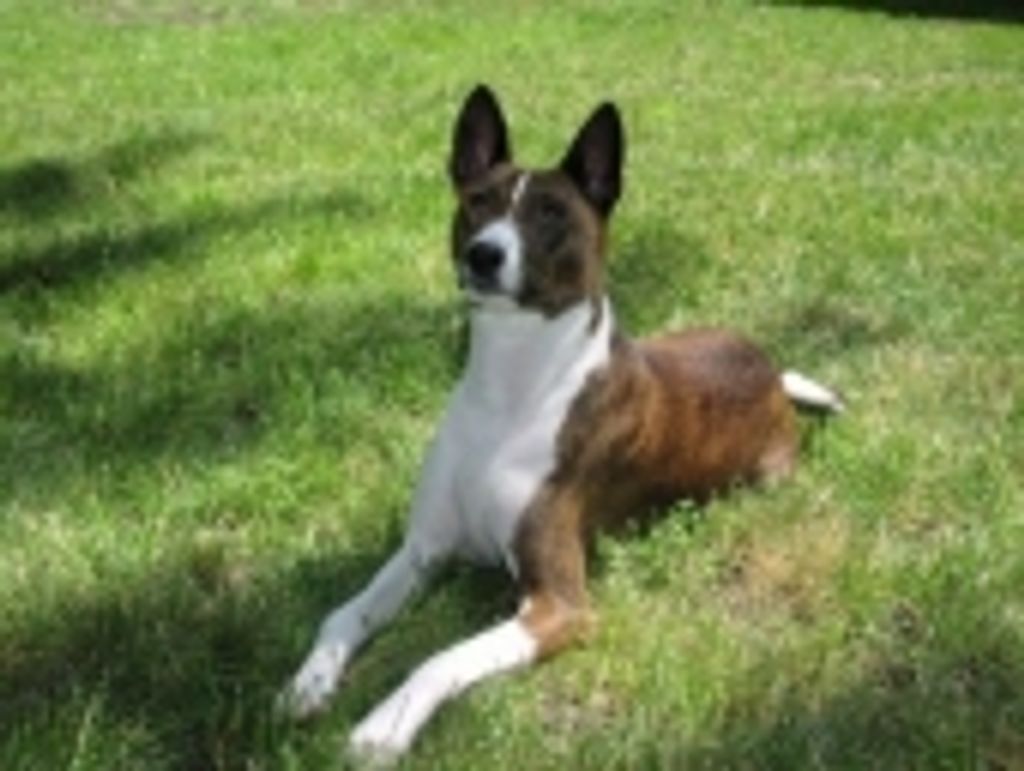 Koto Christiansen Profile Photo