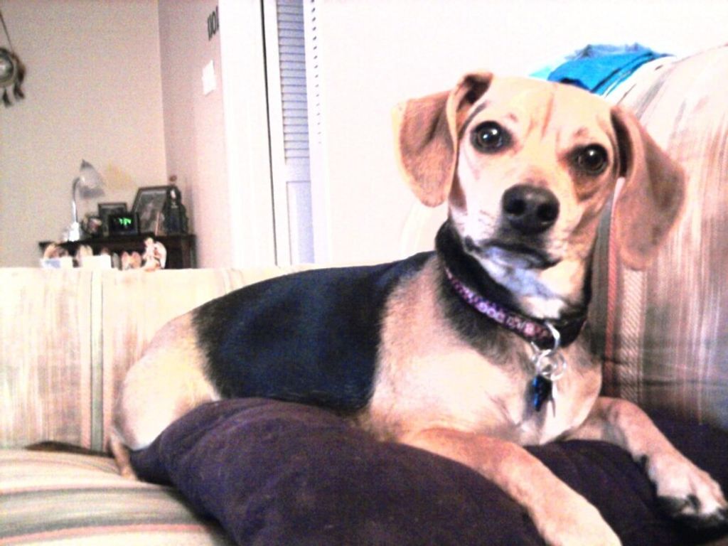 Gracie May Weatherington