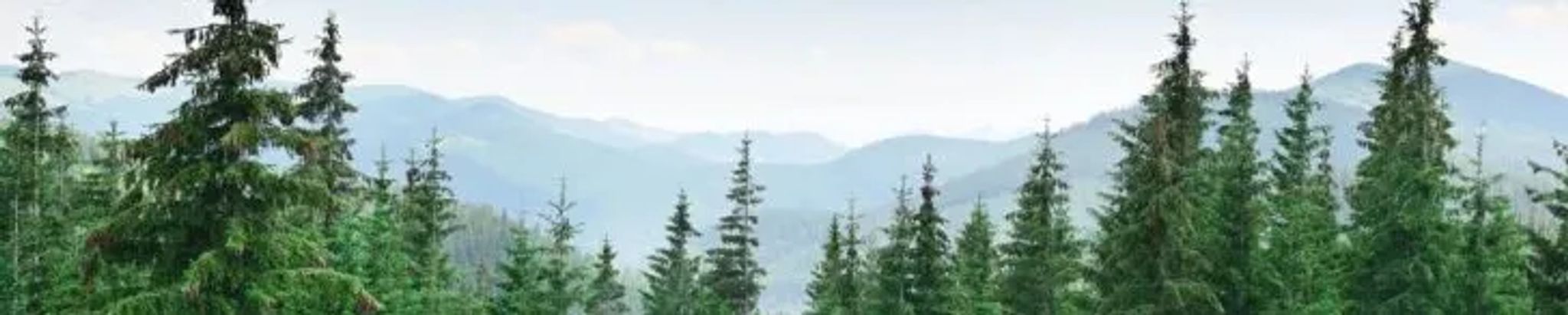 Cover for Jay Darrell Story's Obituary