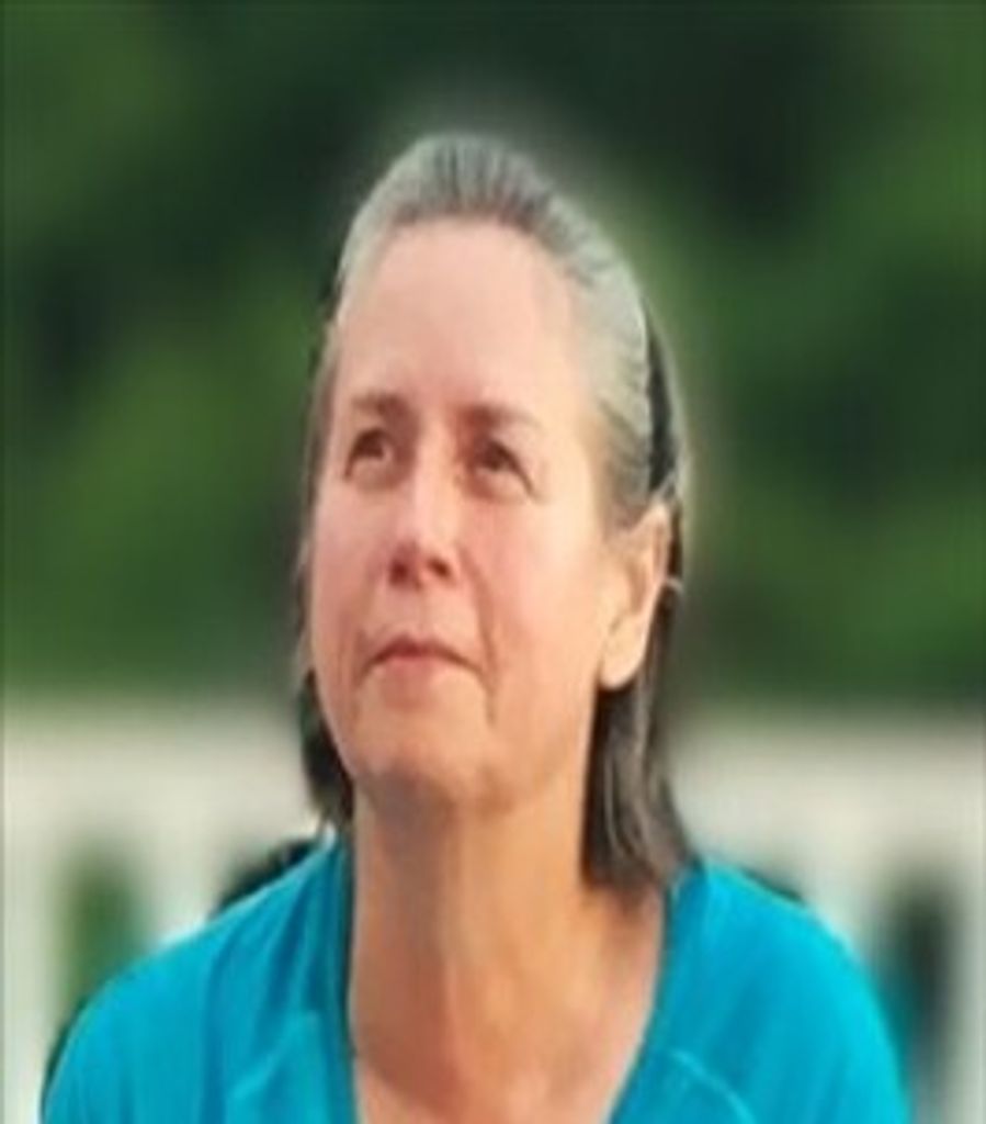 Lynne Wilsey Profile Photo