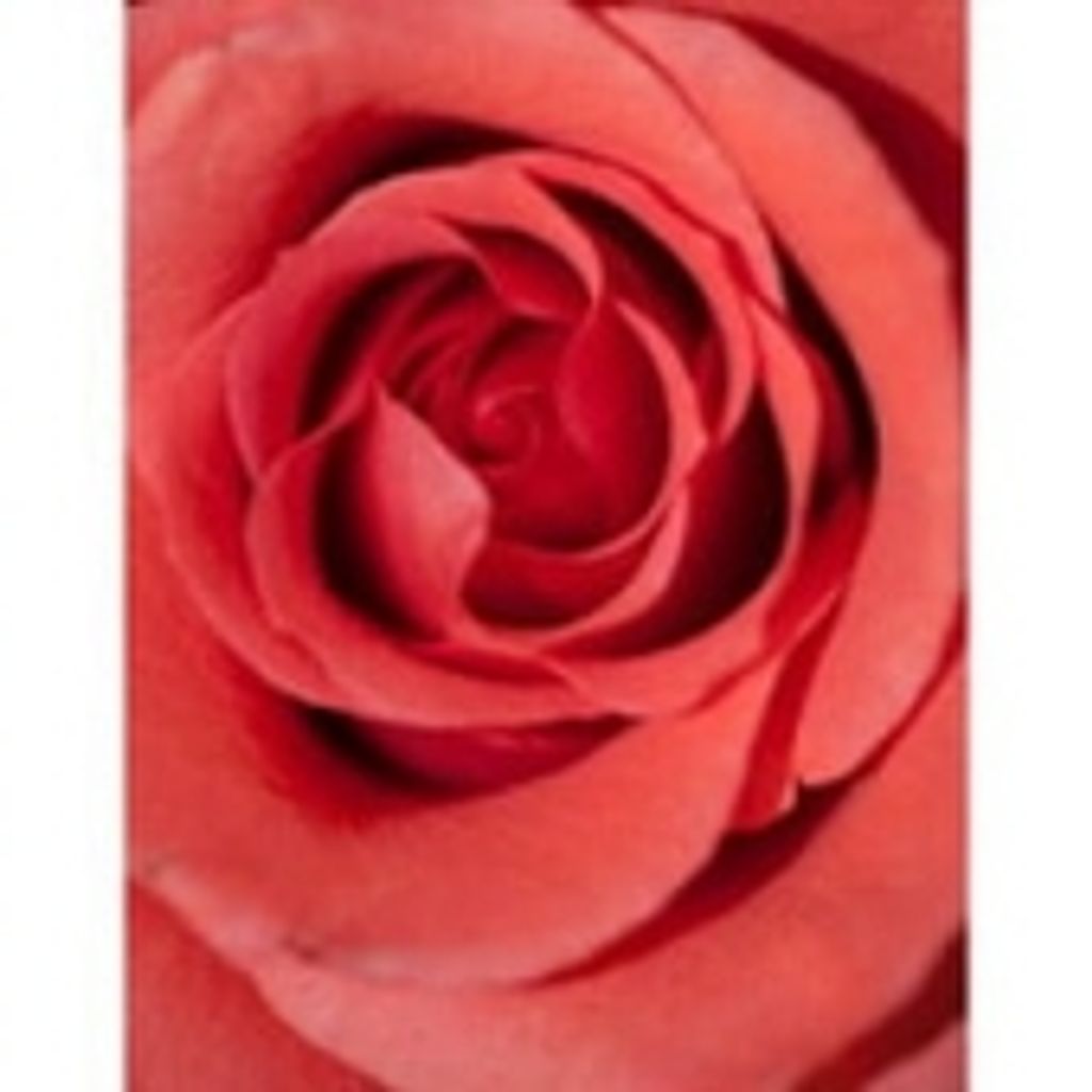 Betty I. Remmers Profile Photo
