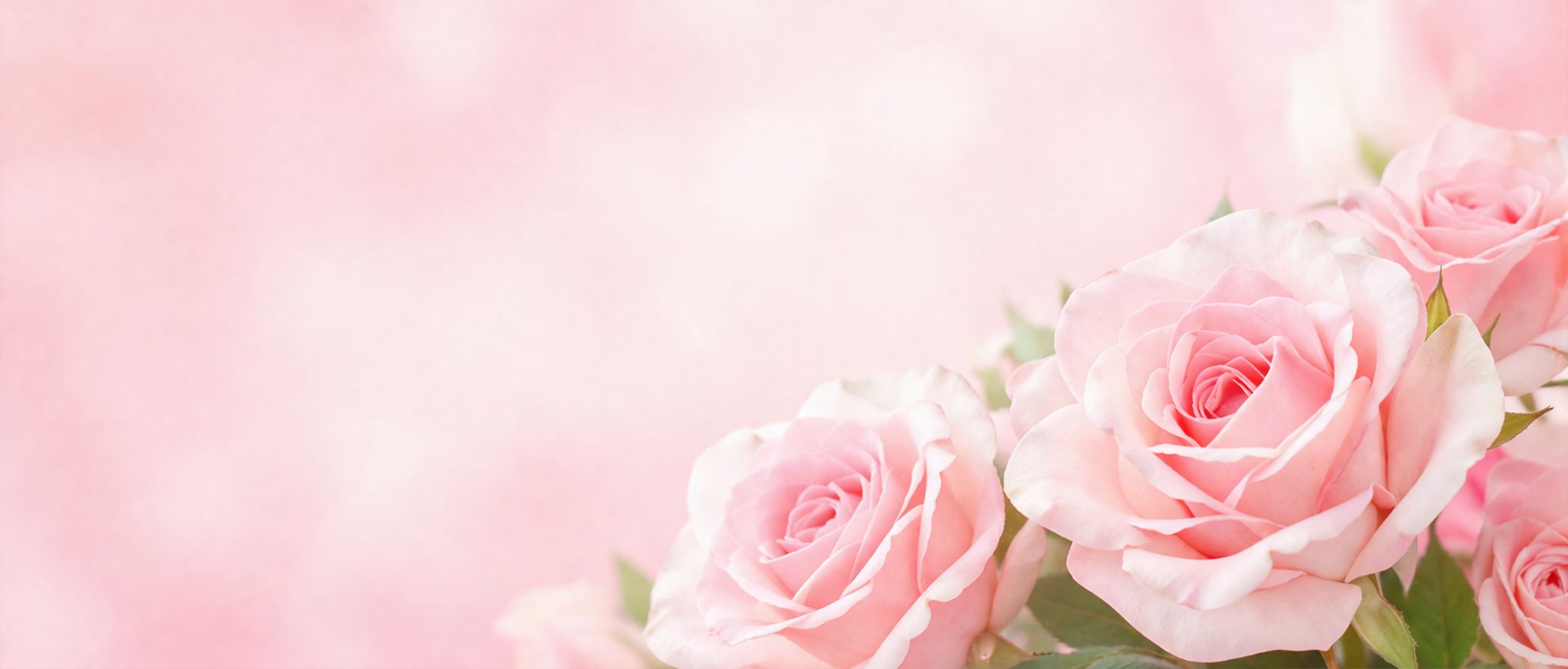 Cover for Mary Whelchel Phillips's Obituary