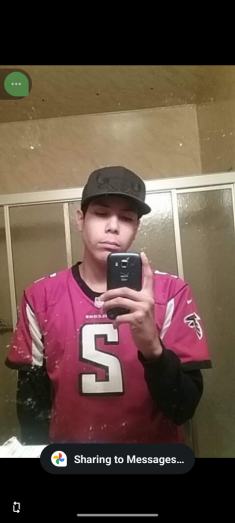 Schea'D Grey Bear Profile Photo