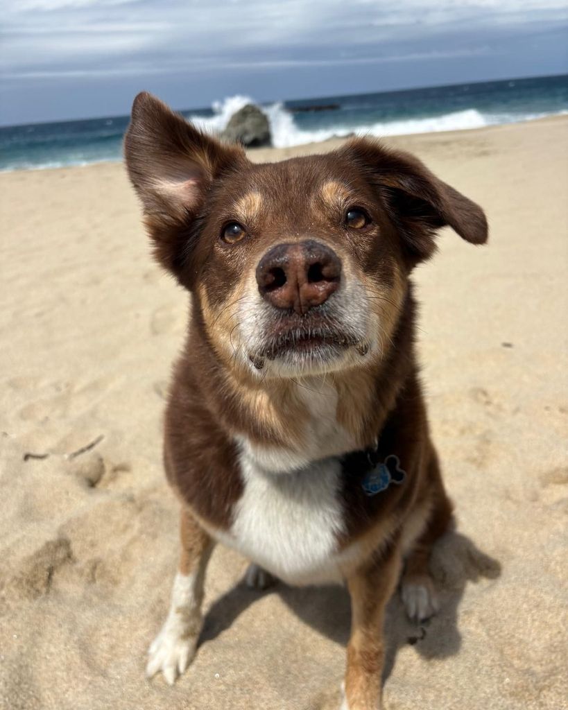 Scout . Profile Photo