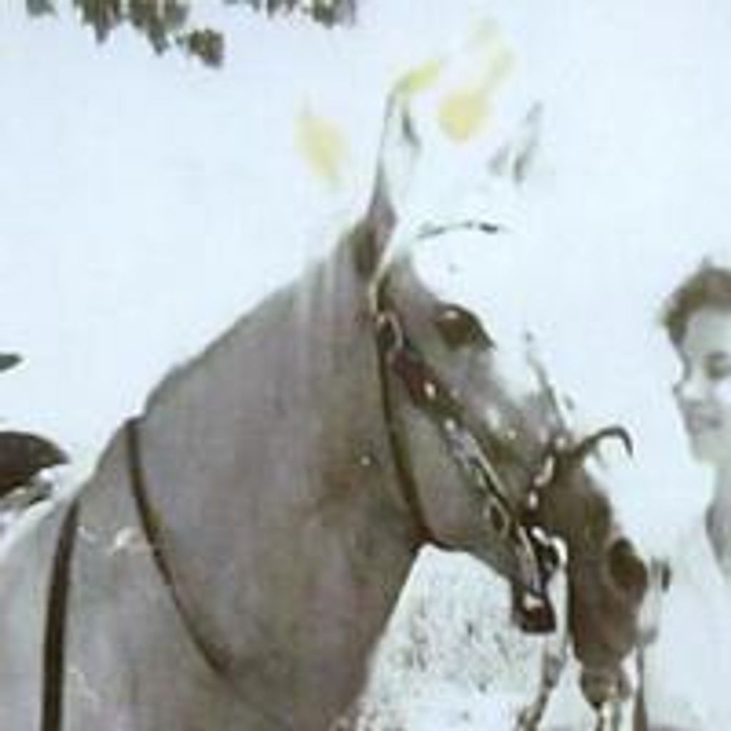 Grace A. Schmidt-Ferrell Profile Photo