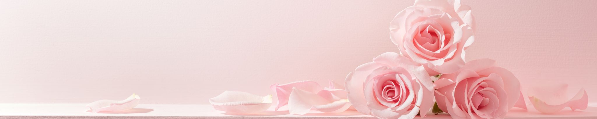 Cover photo for Patricia "Pat" Phillips's Obituary