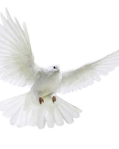 Lily Mae Pack's obituary image