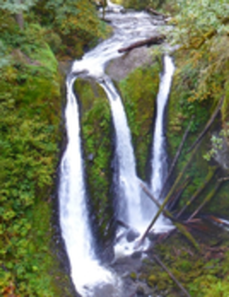 Gail Ann (Baker) Moore